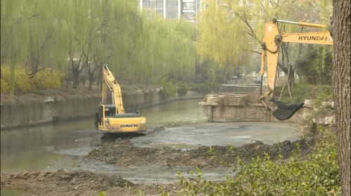 县园林绿化中心启动水系提升工程,为宜居城市 美颜